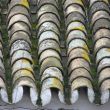Roof tiles in Seville