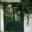 Iron yard door