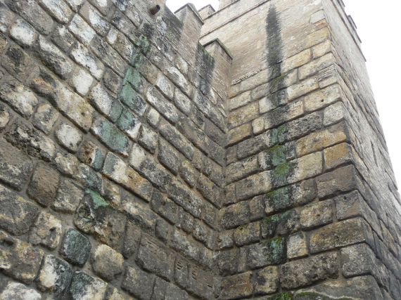 Alcazar wall