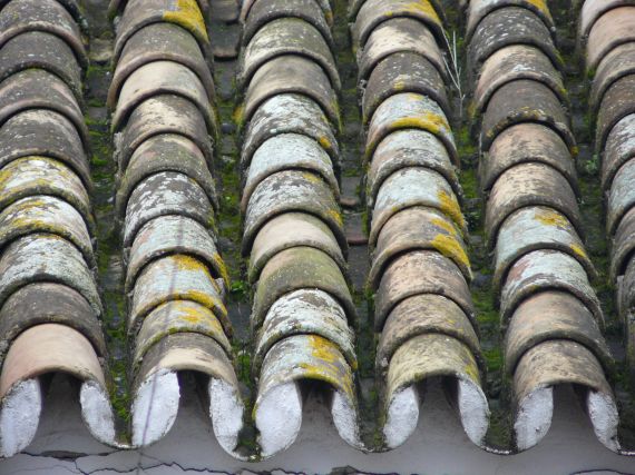 Roof tiles in Seville