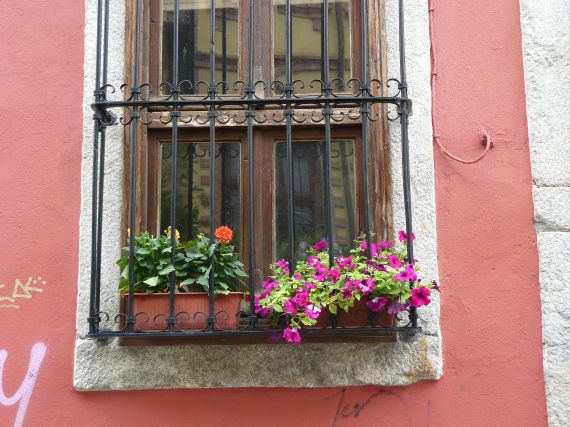 Window