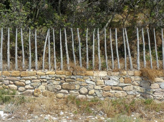 Wooden fence