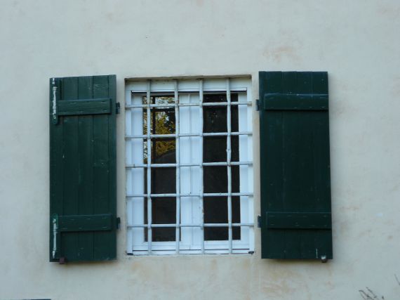 Window