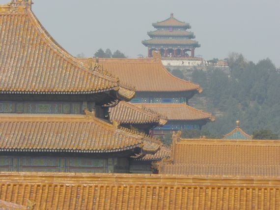 Roofs